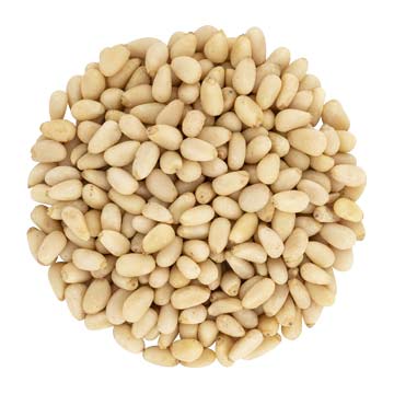 Pinoli Siberiani