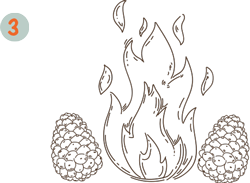Bruciatura Pigne